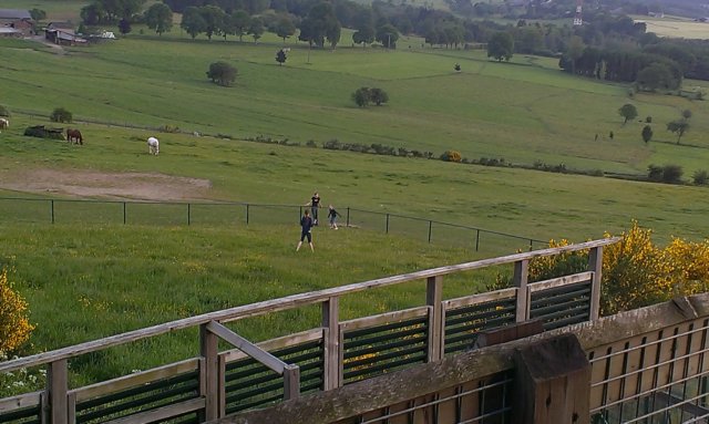 2014HWK 090.jpg